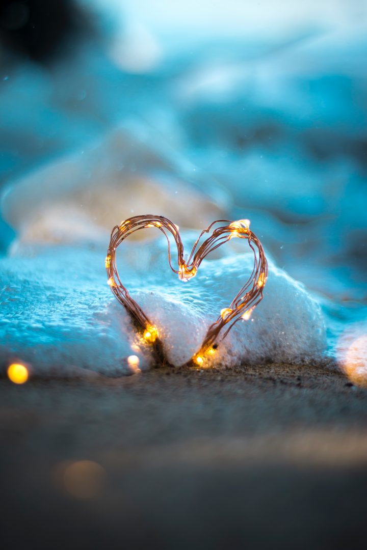 Photo by Steve Halama on Unsplash