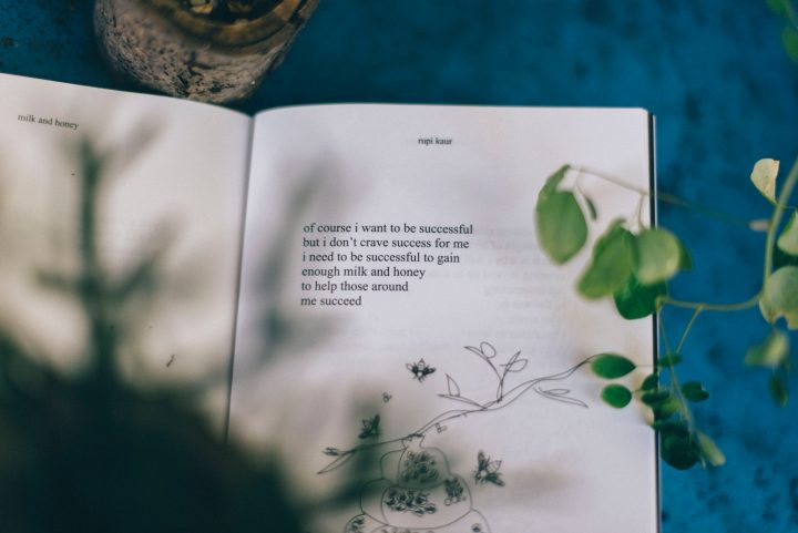 Photo by Sandrachile . on Unsplash
